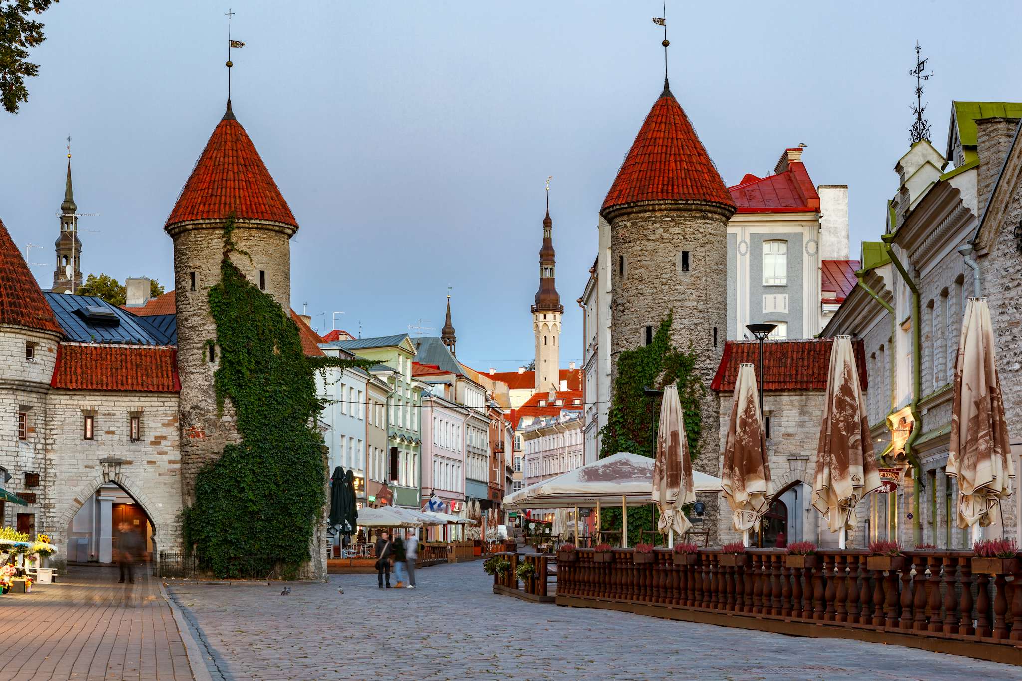 Estonia citizenship: how to secure a future in the EU and live a bureaucracy-free life