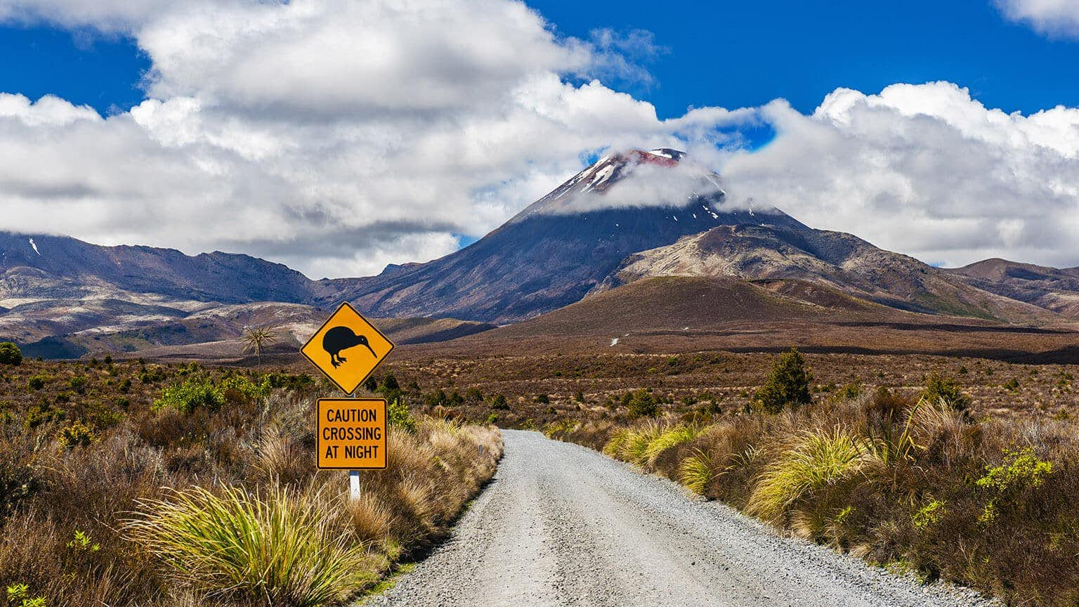 How an Investor Can Obtain New Zealand Citizenship