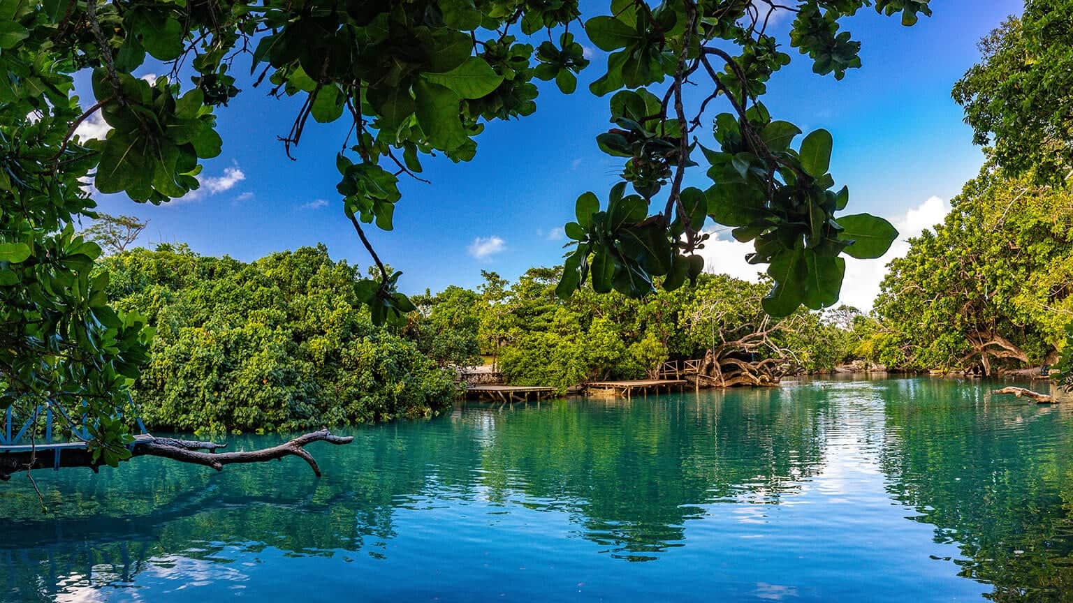 Which countries can be visited visa-free with a Vanuatu passport