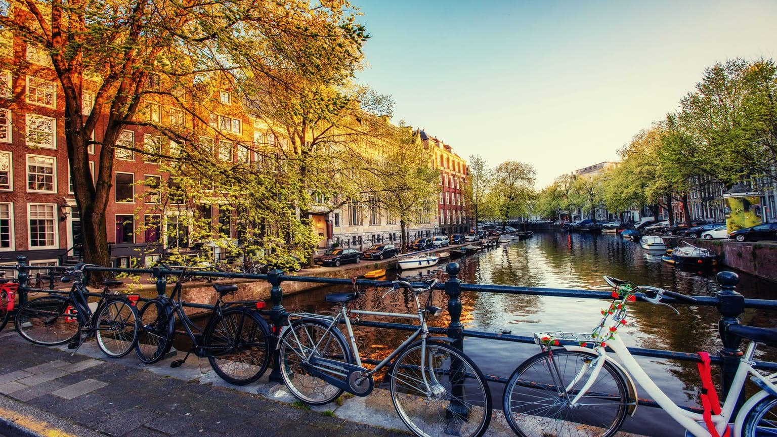 The Netherlands Golden Visa: a complete guide for those seeking to live in the foreigner-friendly country