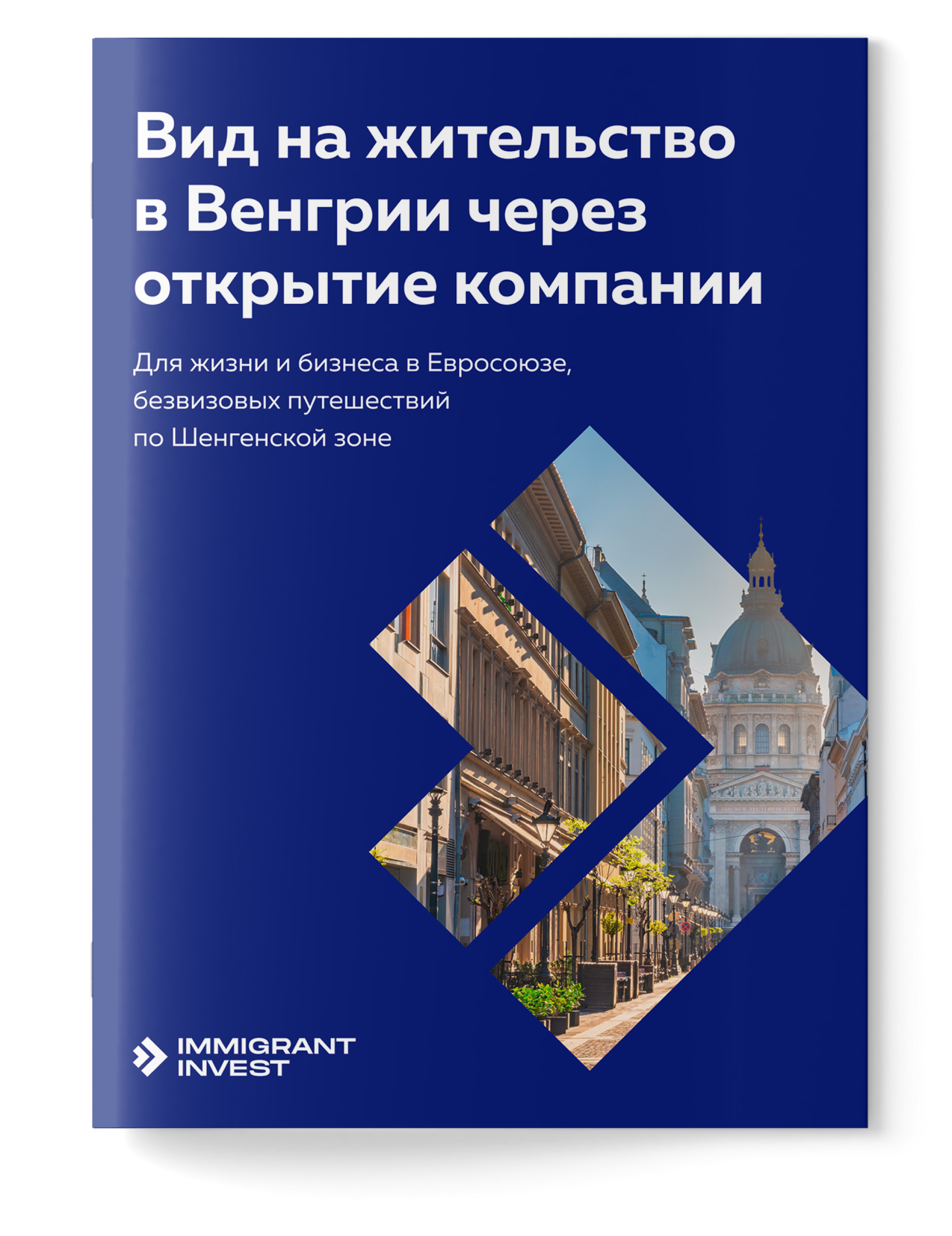 Как получить ВНЖ в Венгрии за открытие компании?