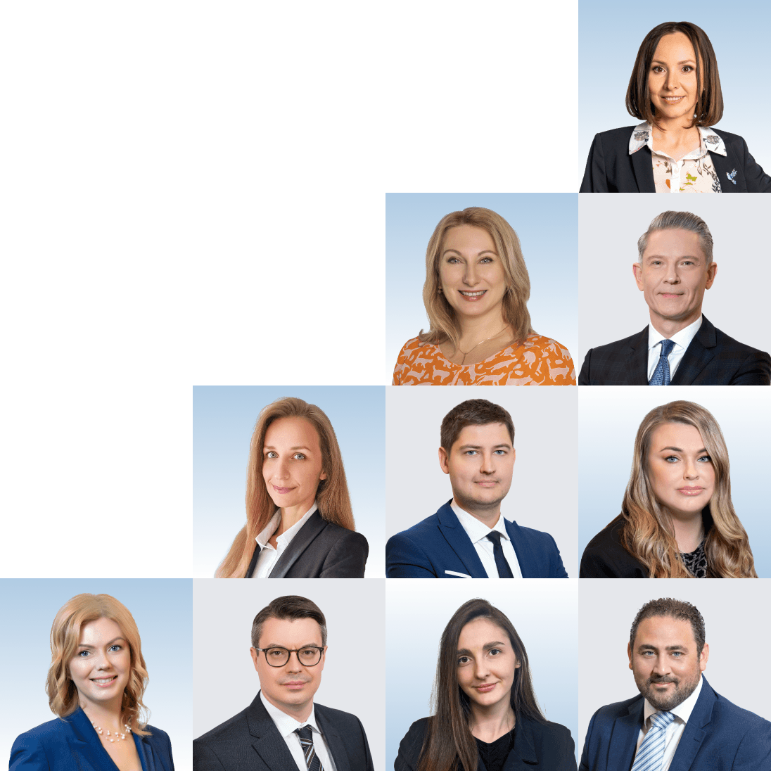 Persönliches oder Online-Gespräch mit Immigrant Invest
