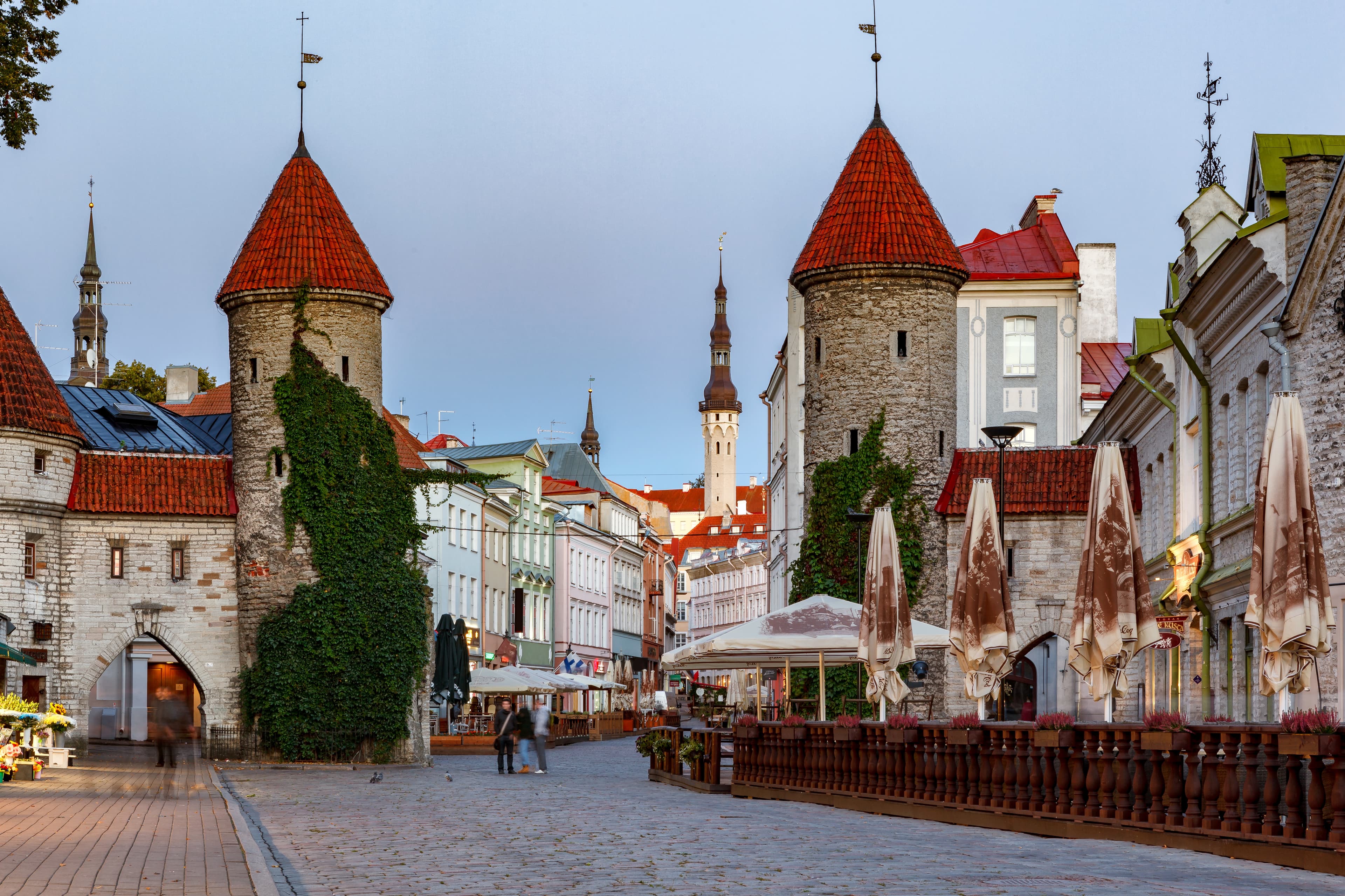 How to become a citizen of Estonia?