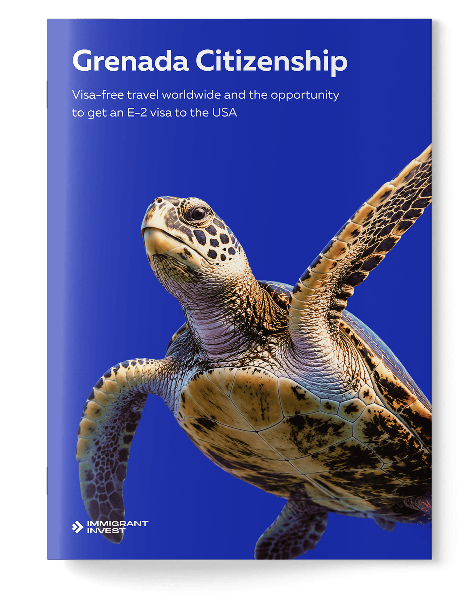 Find out if you qualify for Grenada citizenship
