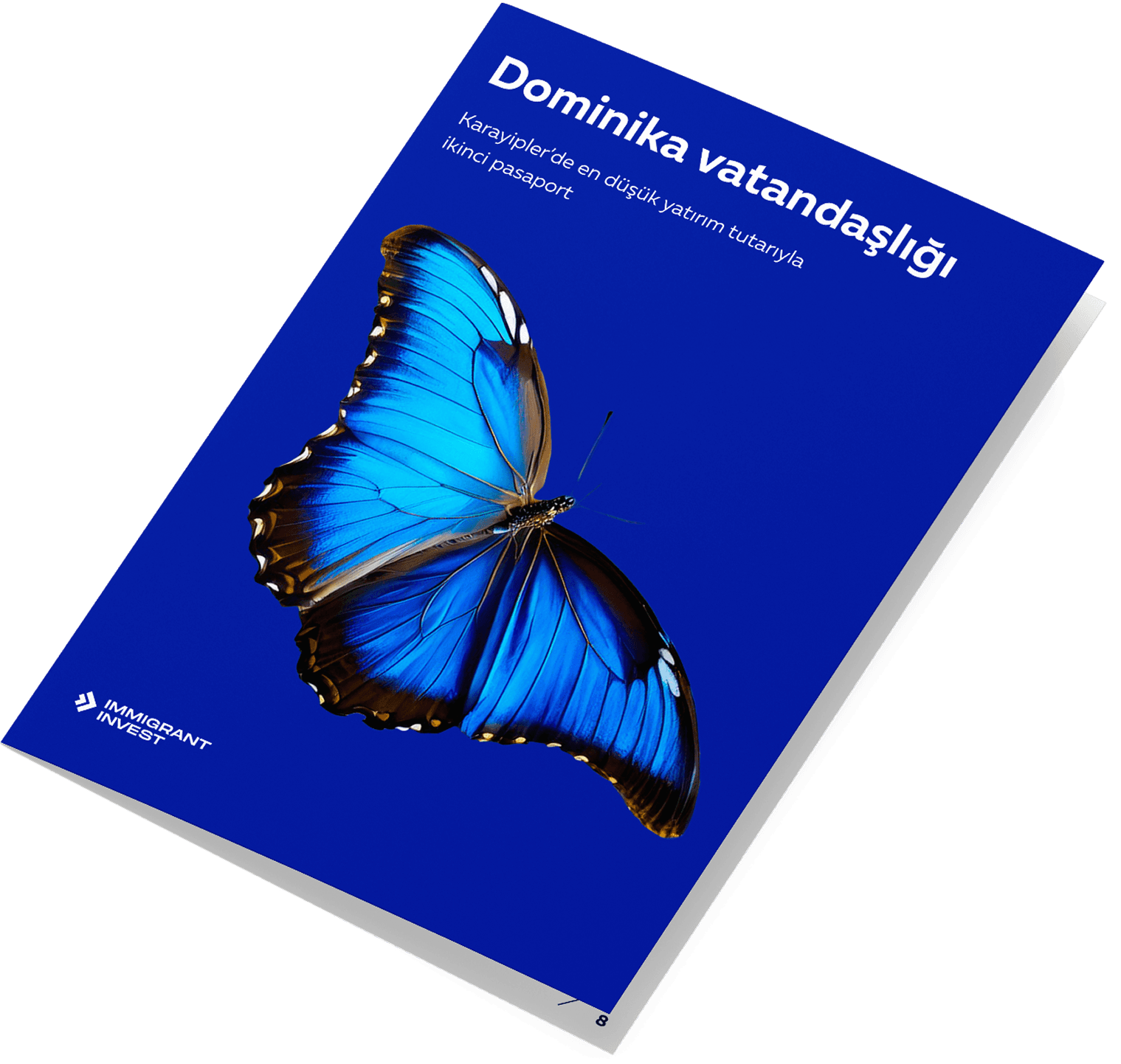 Dominika vatandaşlığına nasıl başvurulur rehberi