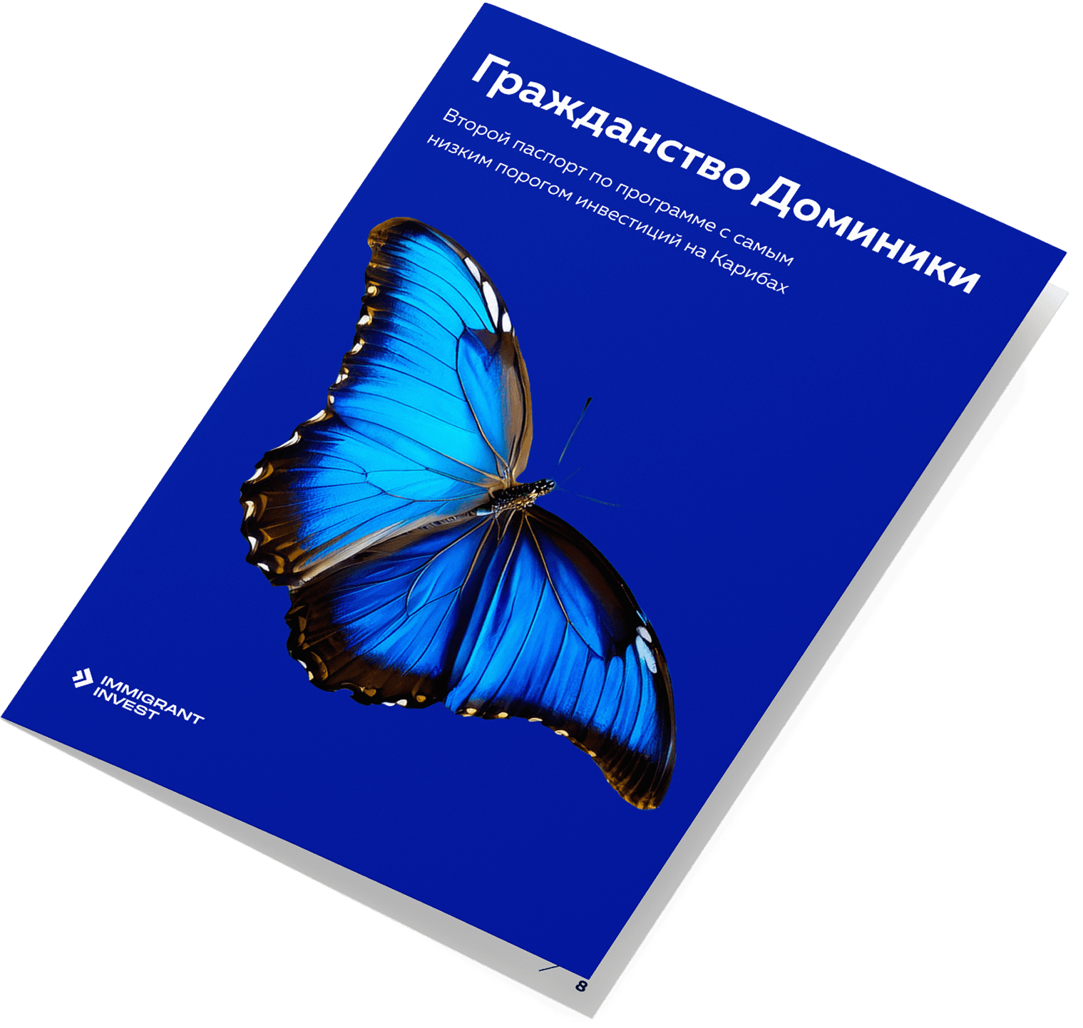 Как получить гражданство Доминики без отказа?