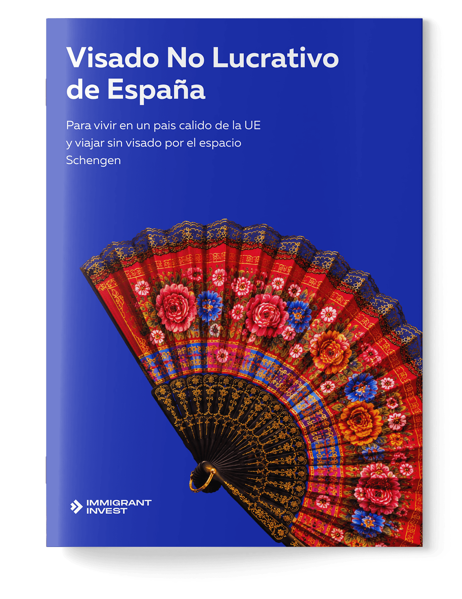 ¿Obtendrás la Visa No Lucrativa de España?