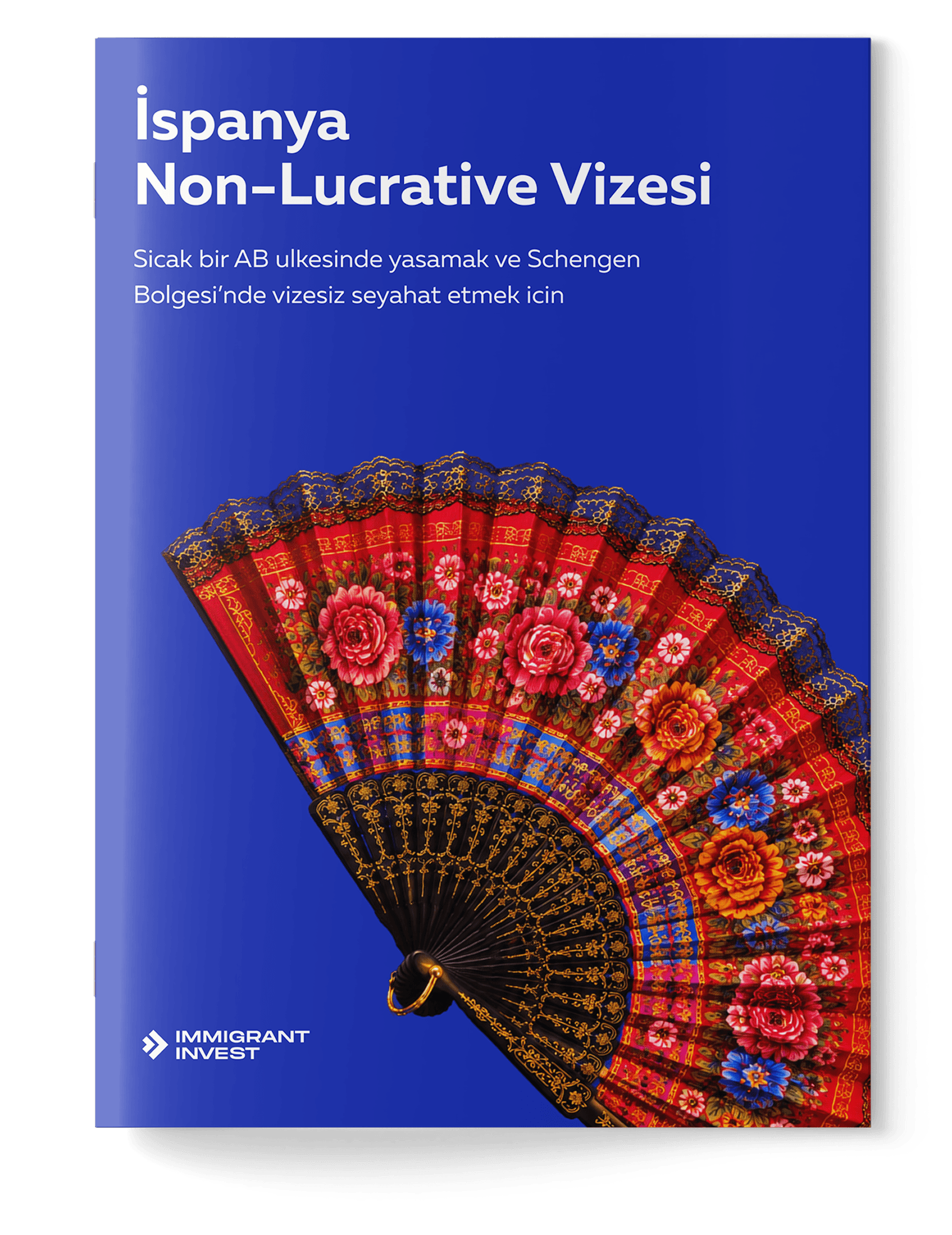İspanya Kar Amacı Gütmeyen Vizesini alacak mısınız?