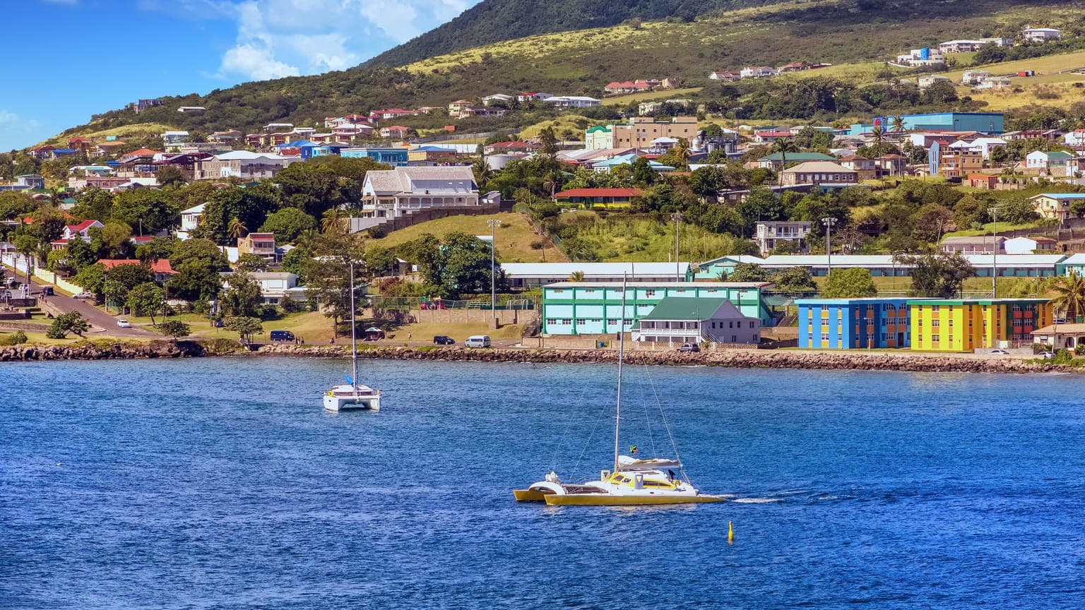 All ways to get dual citizenship of St Kitts and Nevis