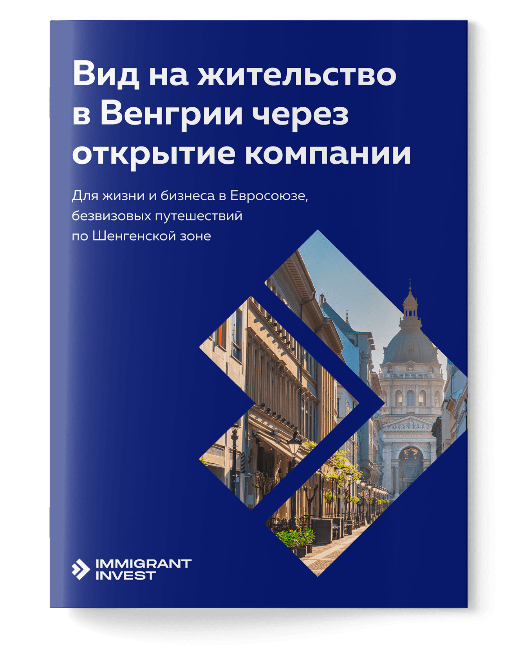 Как получить ВНЖ в Венгрии за открытие компании?