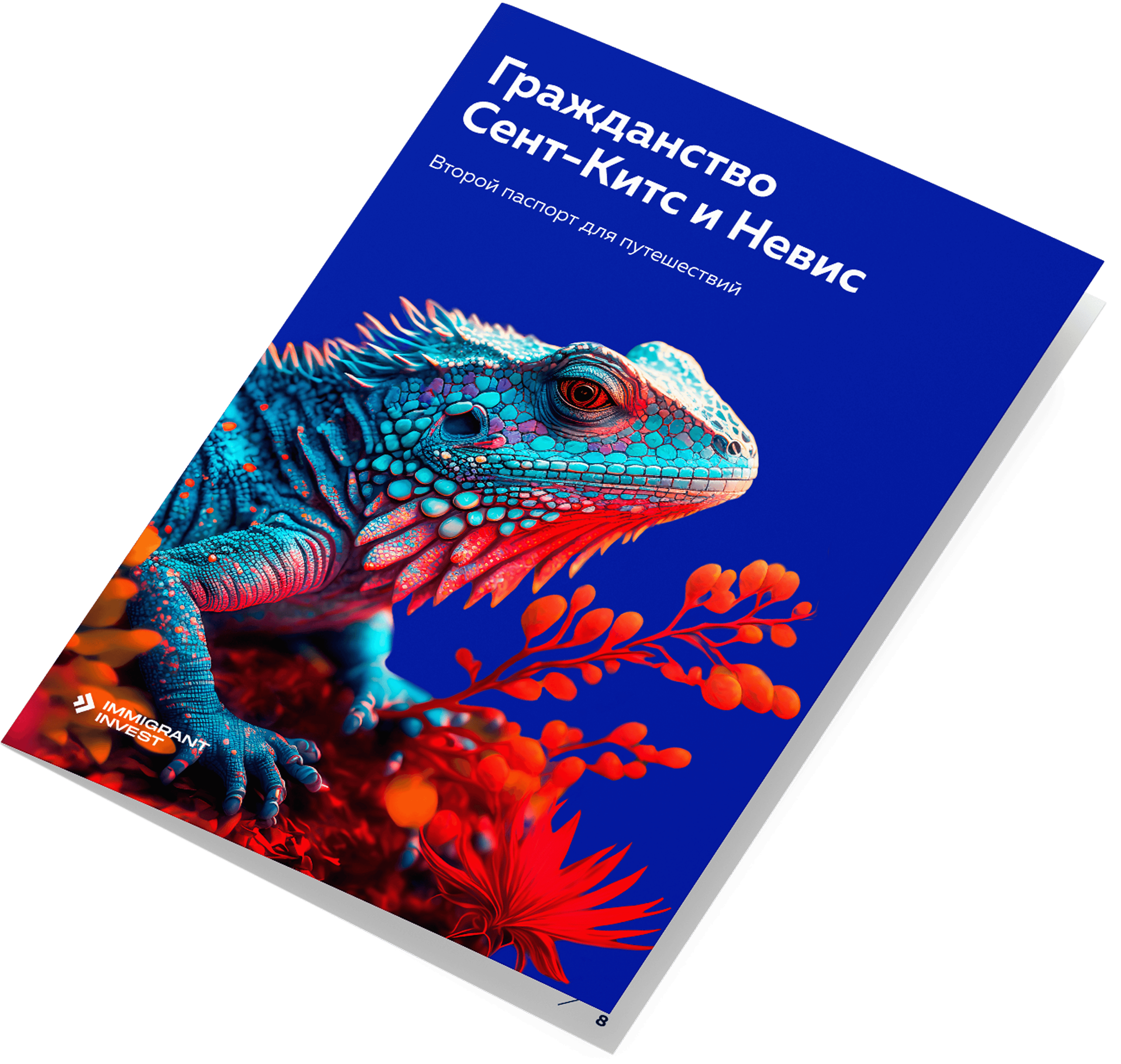 Как получить гражданство Сент‑Китс и Невис без отказа?