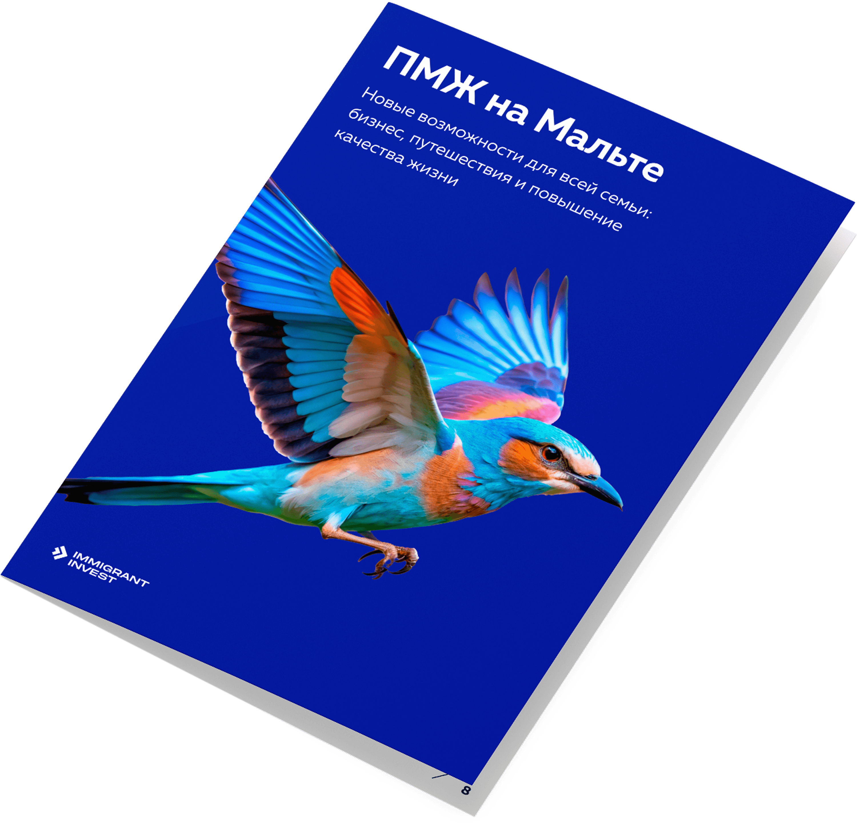 Как получить ПМЖ на Мальте без отказа?