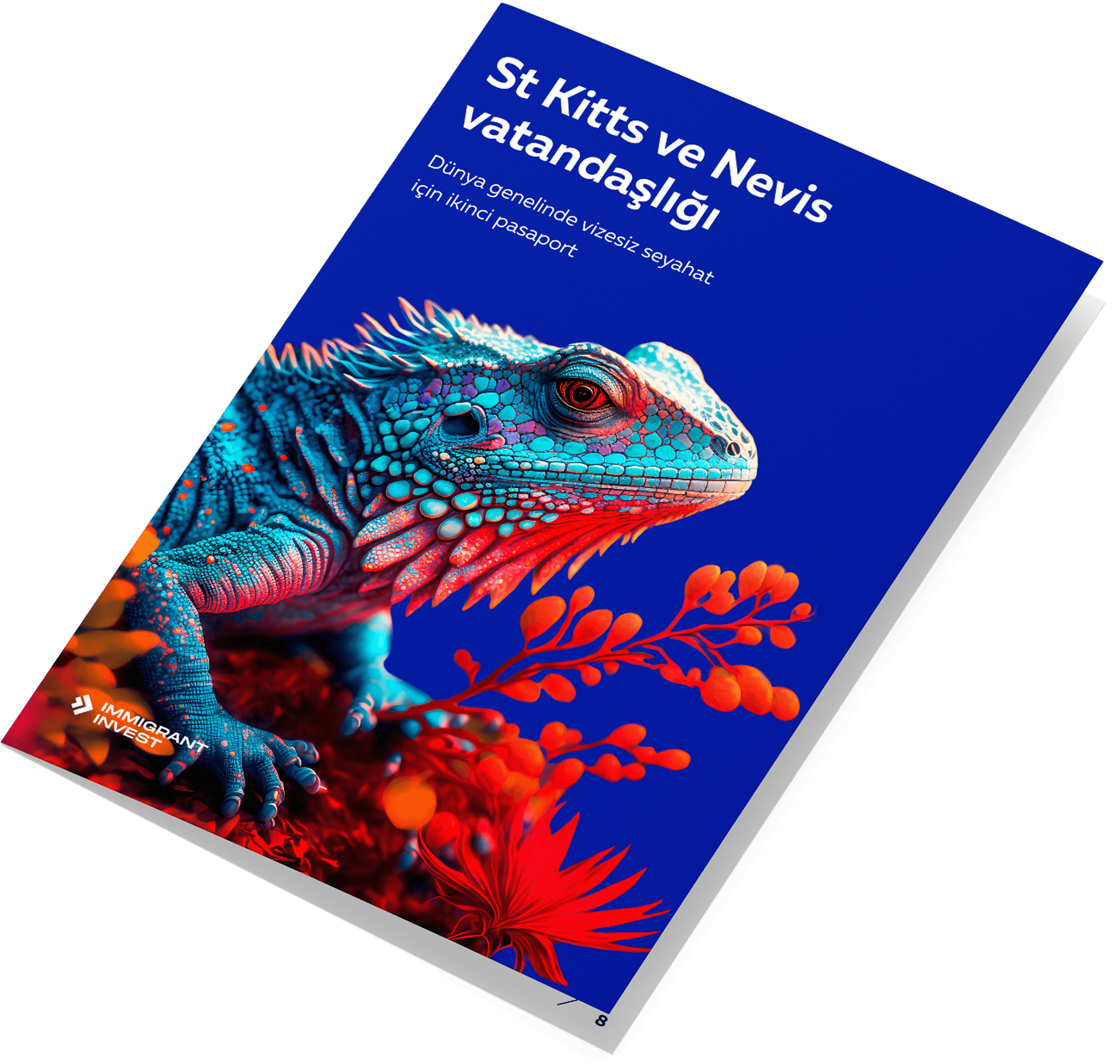 St Kitts ve Nevis vatandaşlığı kaliteli bir yaşamın anahtarı mı?
