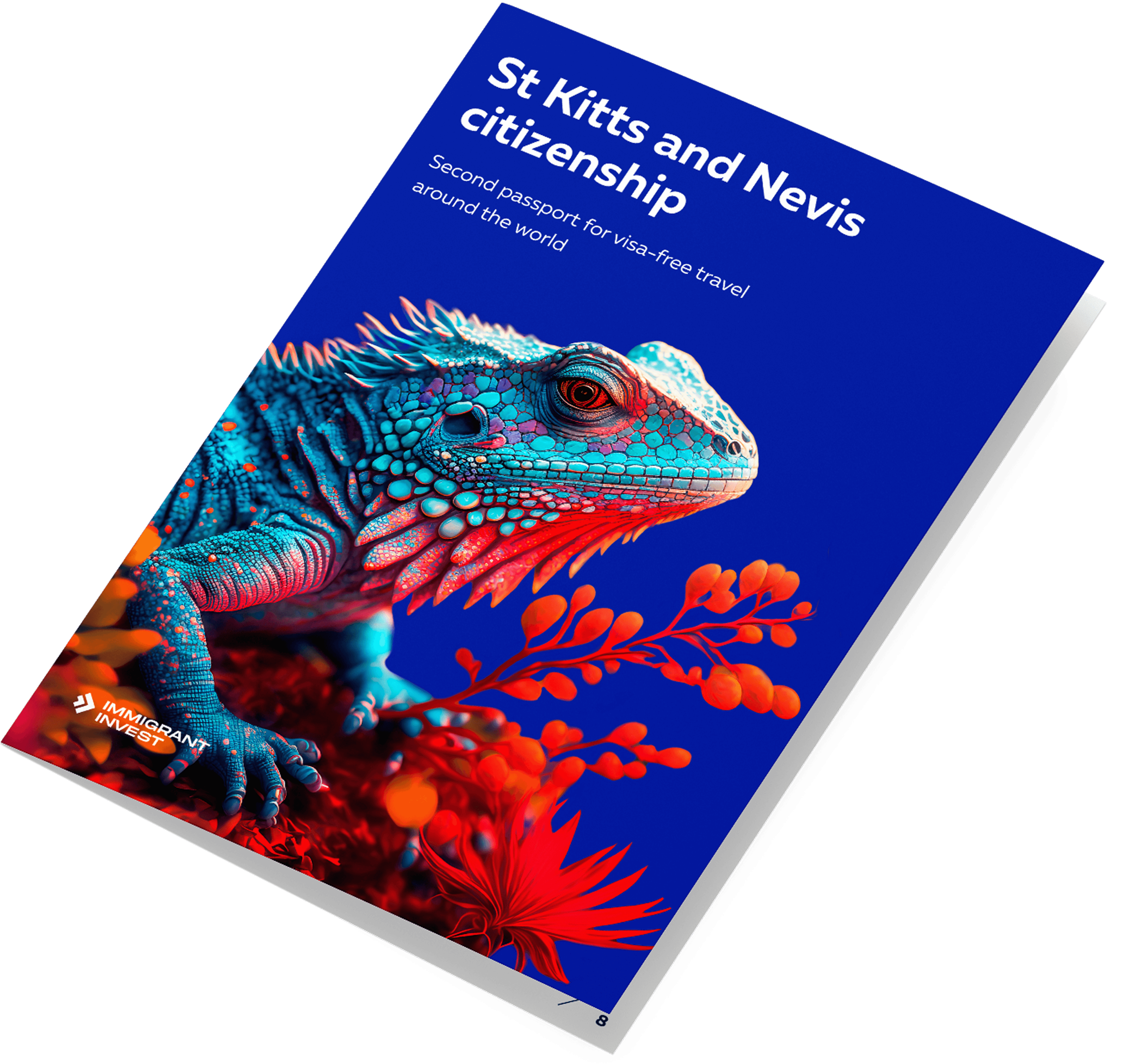 Is St Kitts and Nevis citizenship your key to quality living?