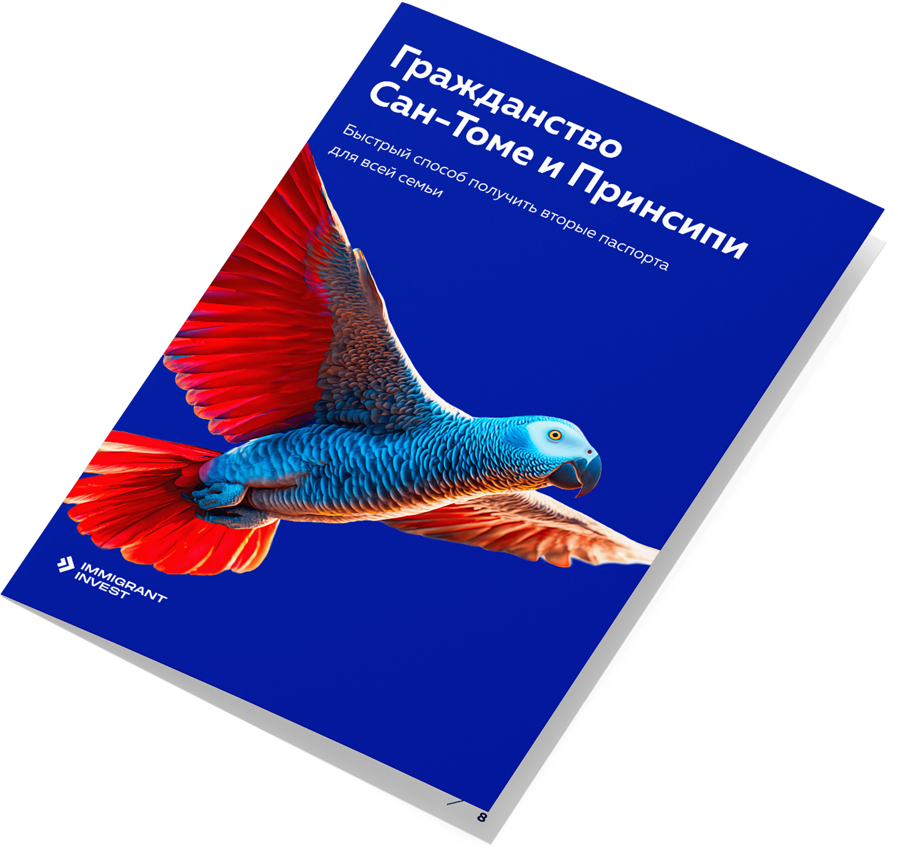 Как получить гражданство Сан-Томе и Принсипи без отказа?