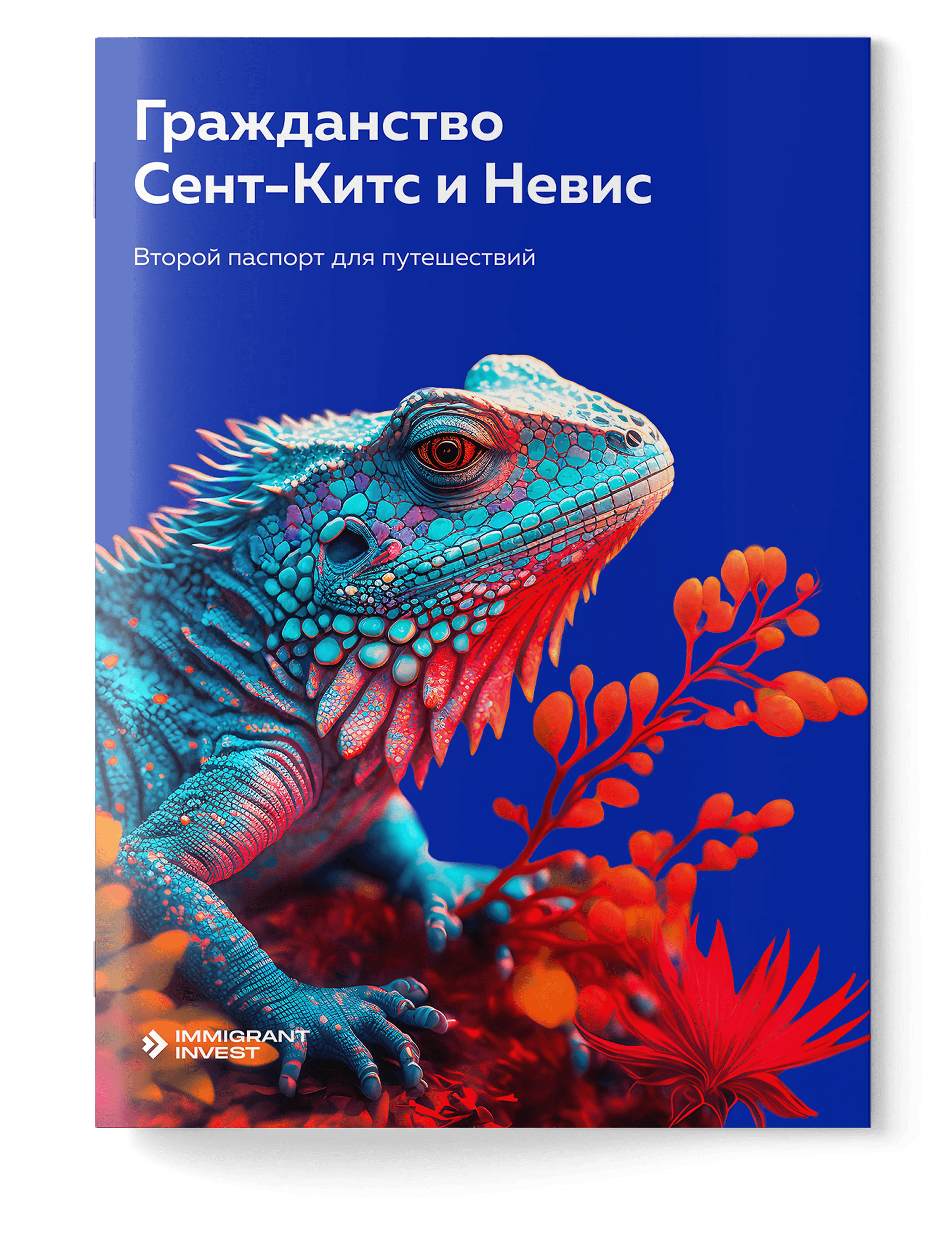 Как получить гражданство Сент‑Китс и Невис без отказа?