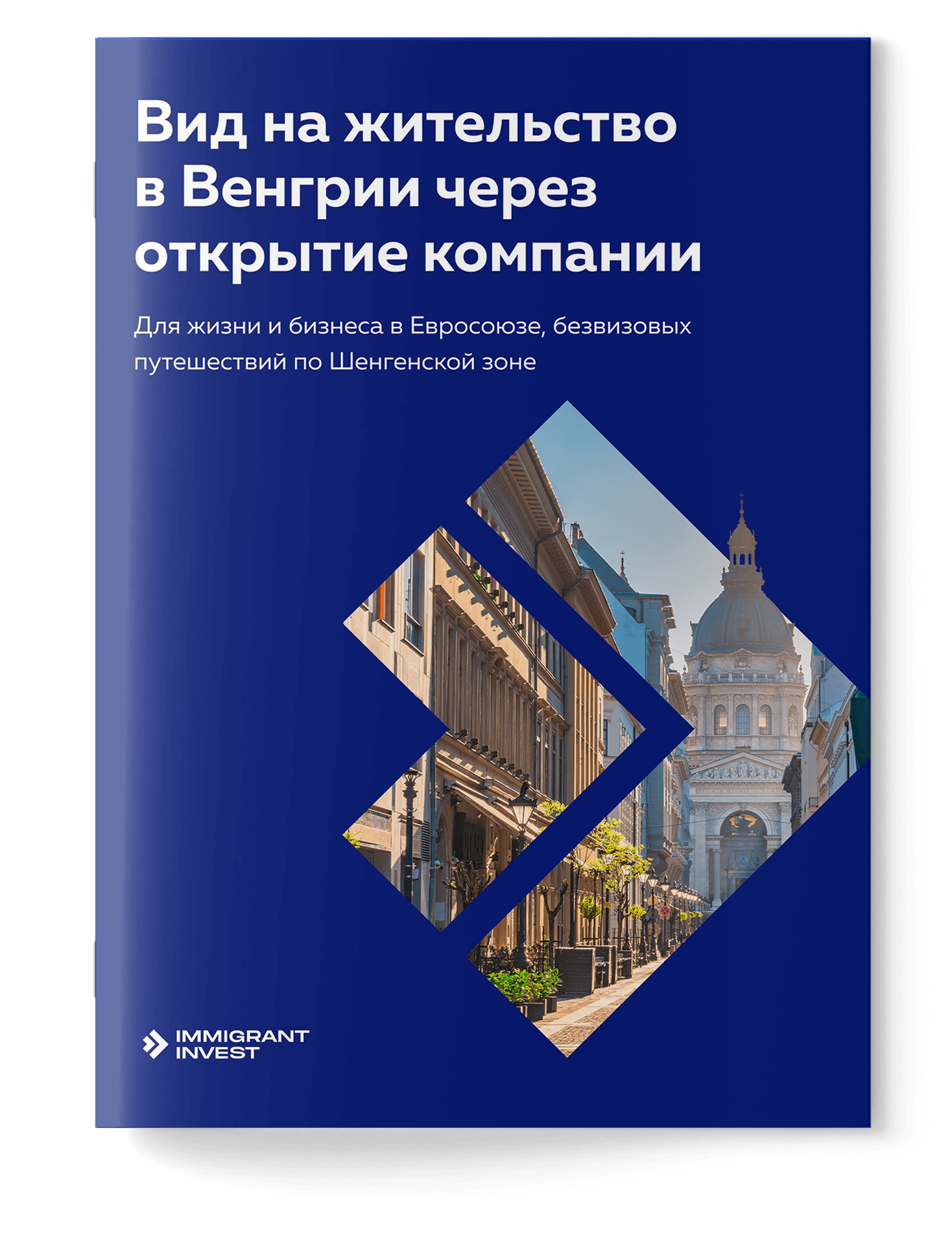 Как получить ВНЖ в Венгрии за открытие компании без отказа?