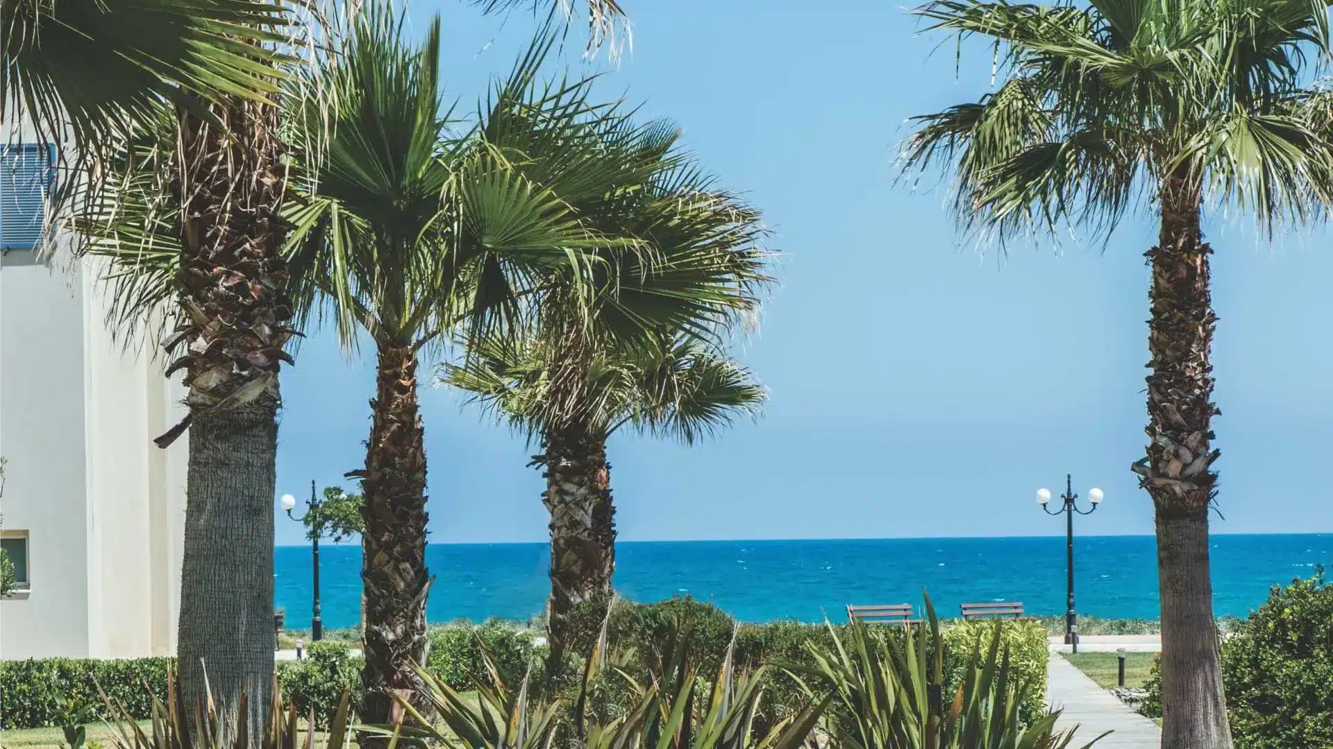 Apartments on the beach in Crete 6