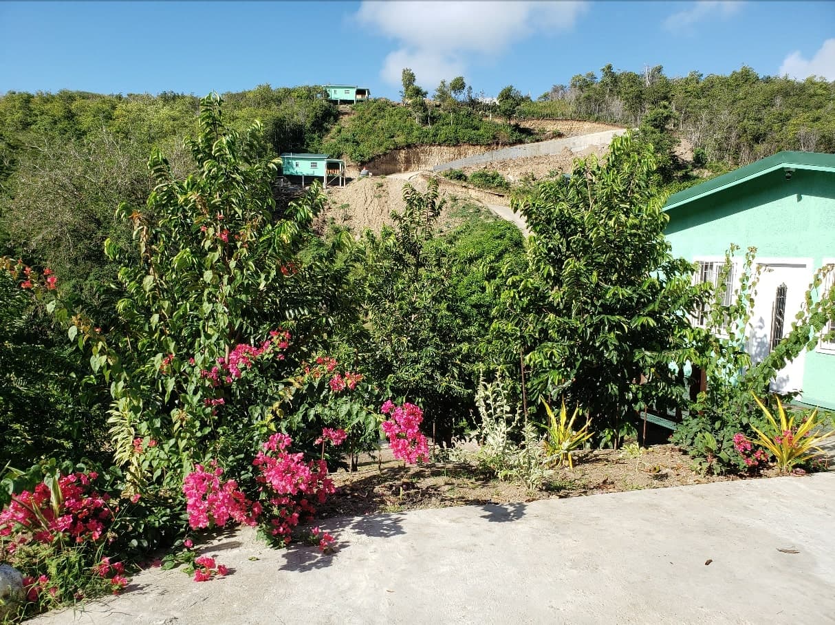 Shared or full ownership of real estate in a cottage settlement 1
