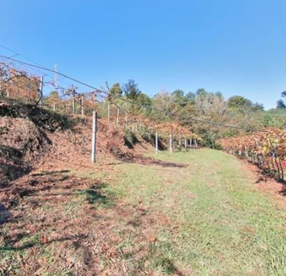 Two-level villa with a huge plot in a picturesque area 12