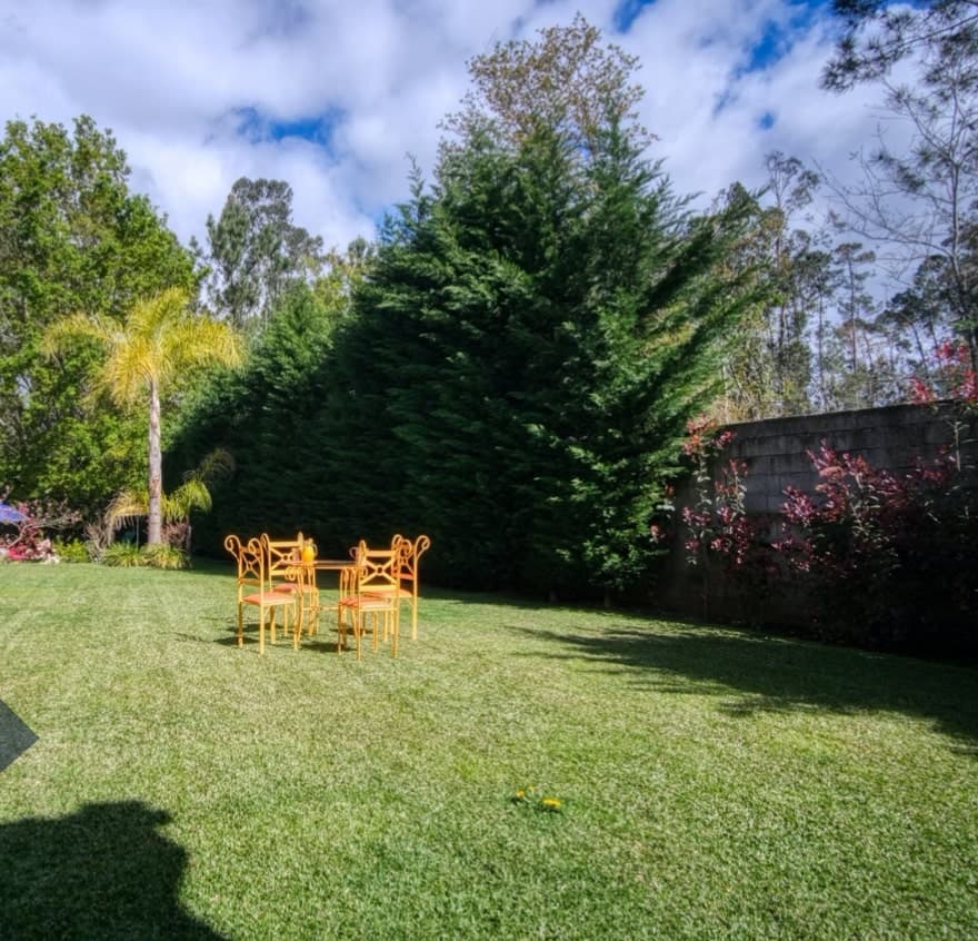 Luxurious mansion with a large plot next to the national park 2
