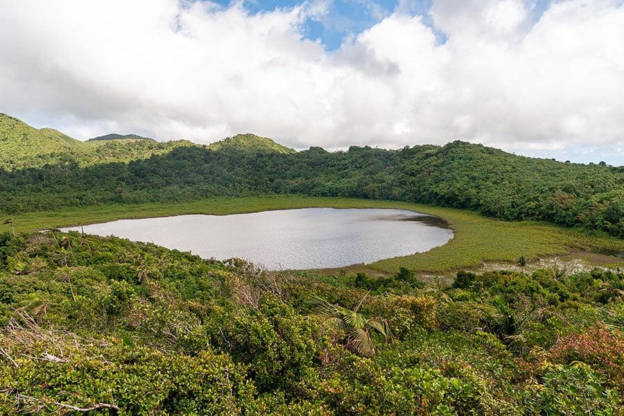 Grenada: the Grand Etang National Park