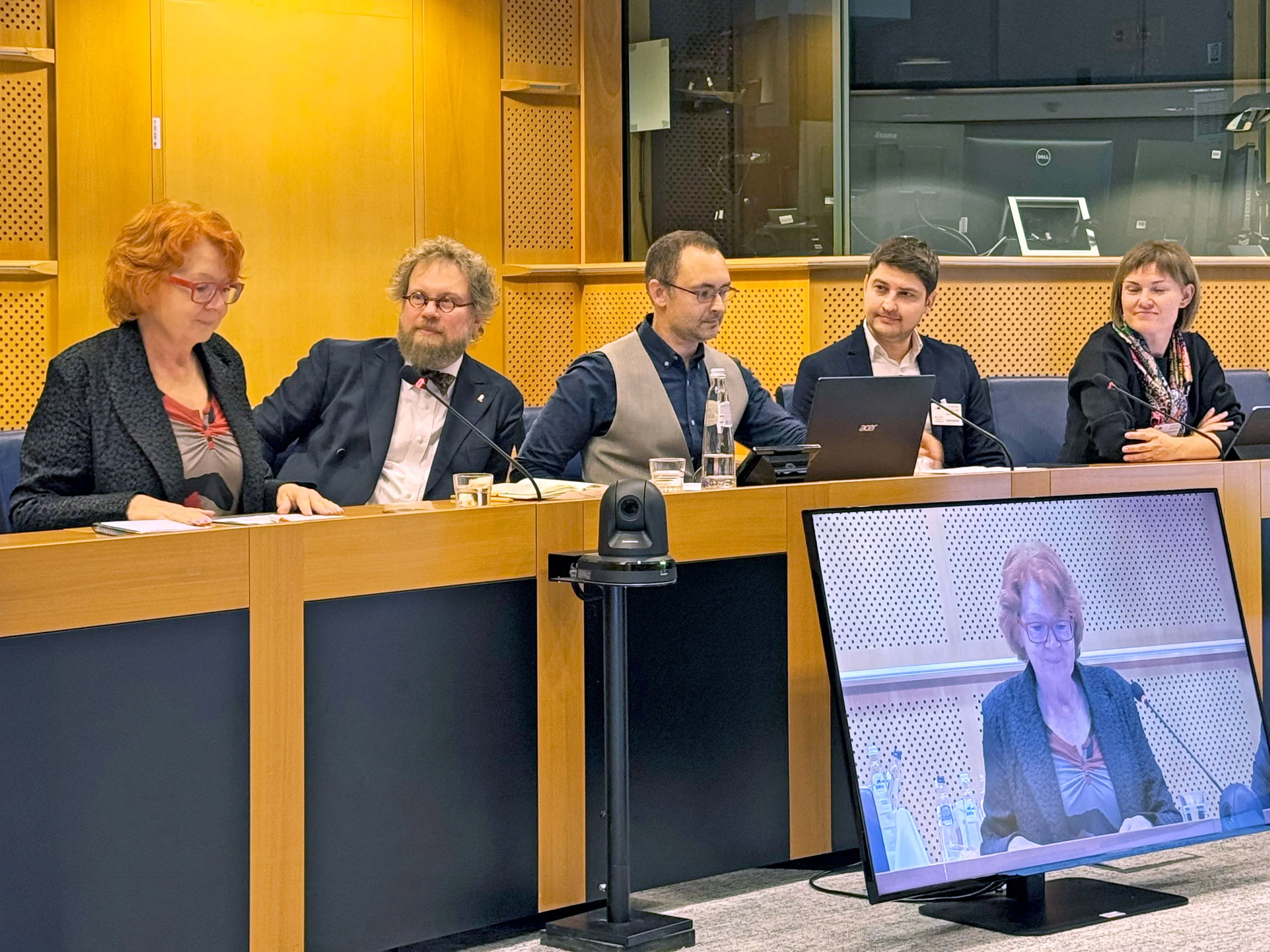 discussion on non-citizen status in the EU parliament