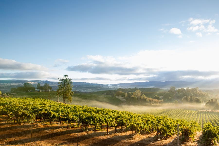 EB-5 target employment areas | California wineries