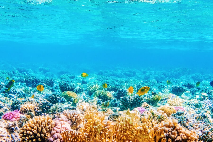 Reise nach Antigua und Barbuda