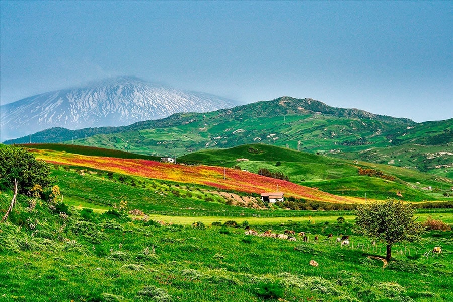 Italian villages: where to buy a house for 1 euro