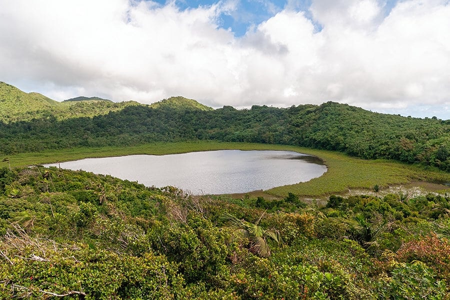 Grenada: the Grand Etang National Park