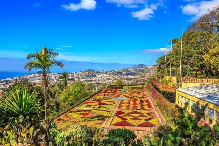 life in Madeira, Funchal