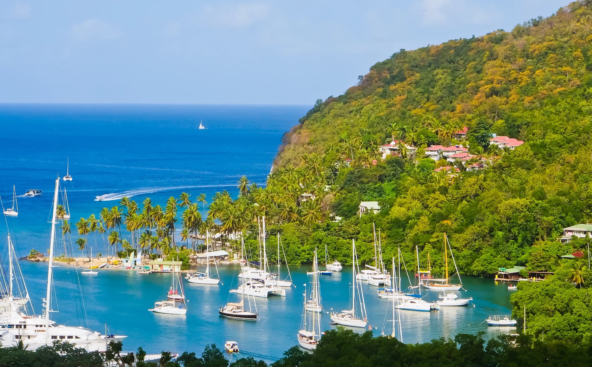 St Lucia Citizenship Revenue Grew by 67% in 2024—2025