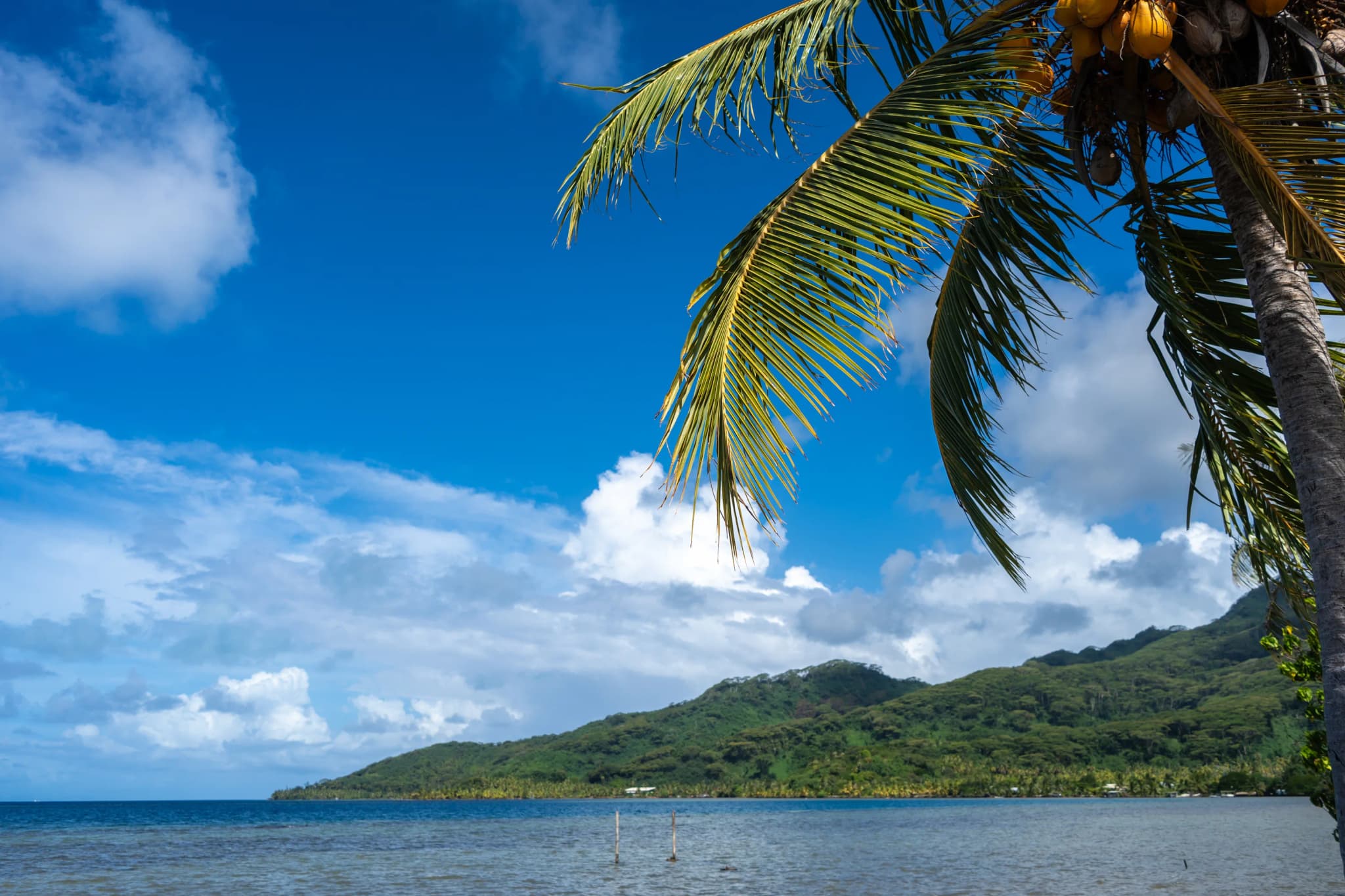 Nauru Citizenship Rules Updated: What Investors Need to Know