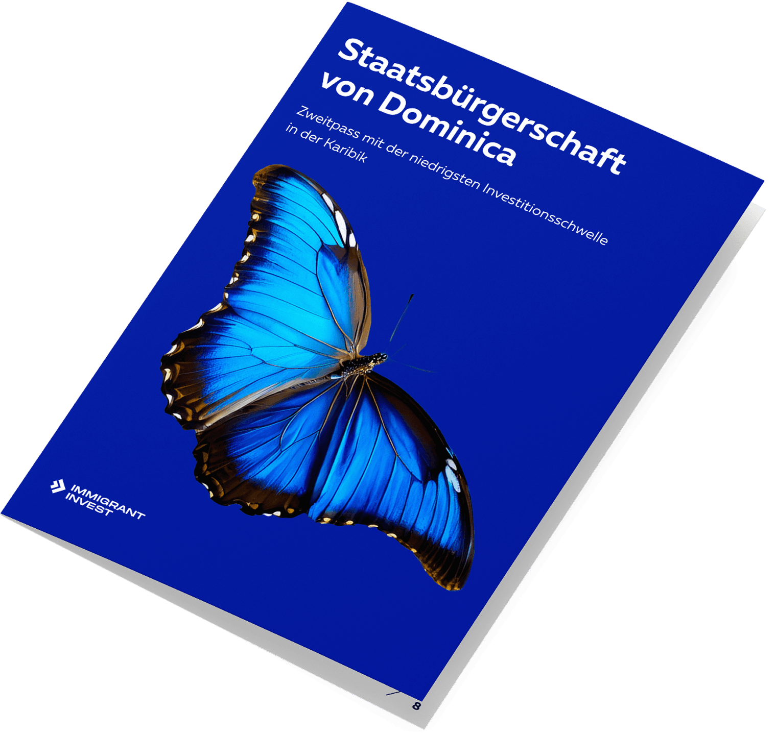 Anleitung zum Erwerb der Staatsbürgerschaft von Dominica