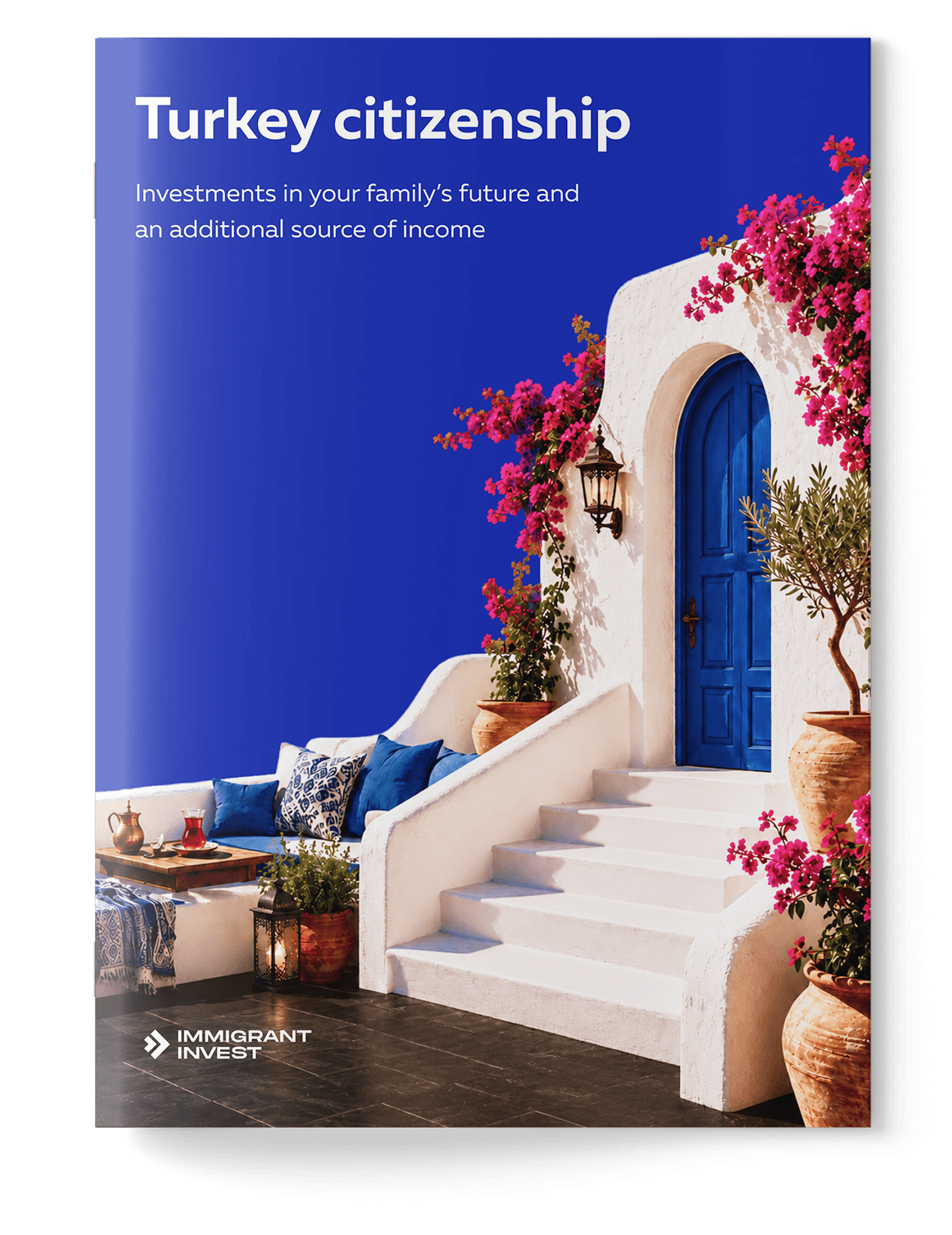 Find out if you qualify for Türkiye citizenship