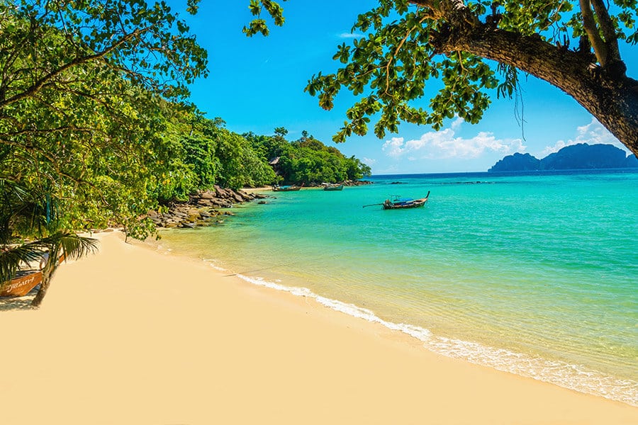 Dominica passport price