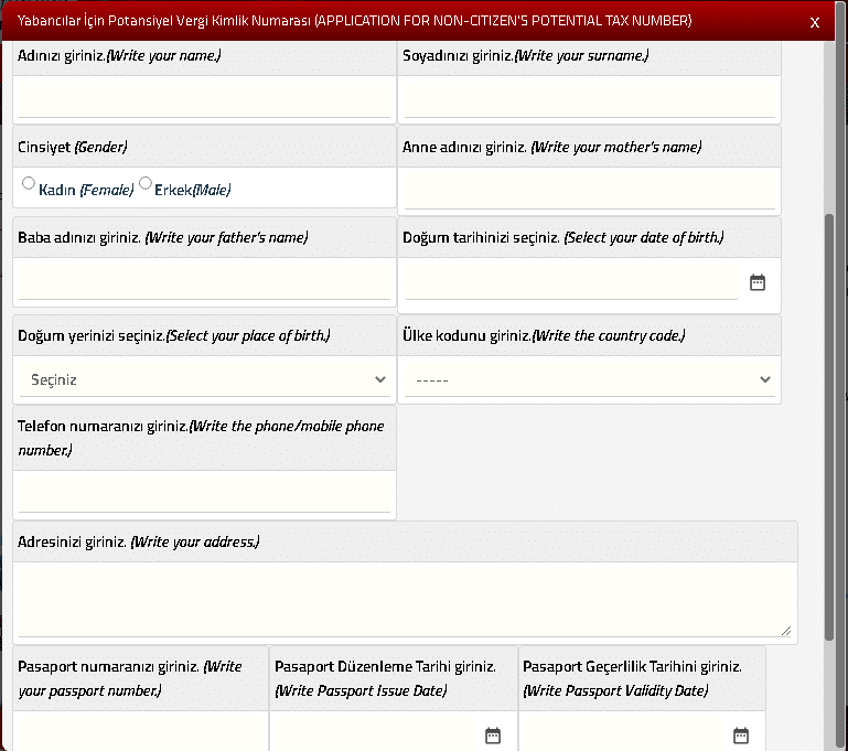 ВНЖ в Турции: форма заявки на ИНН для уплаты госпошлины