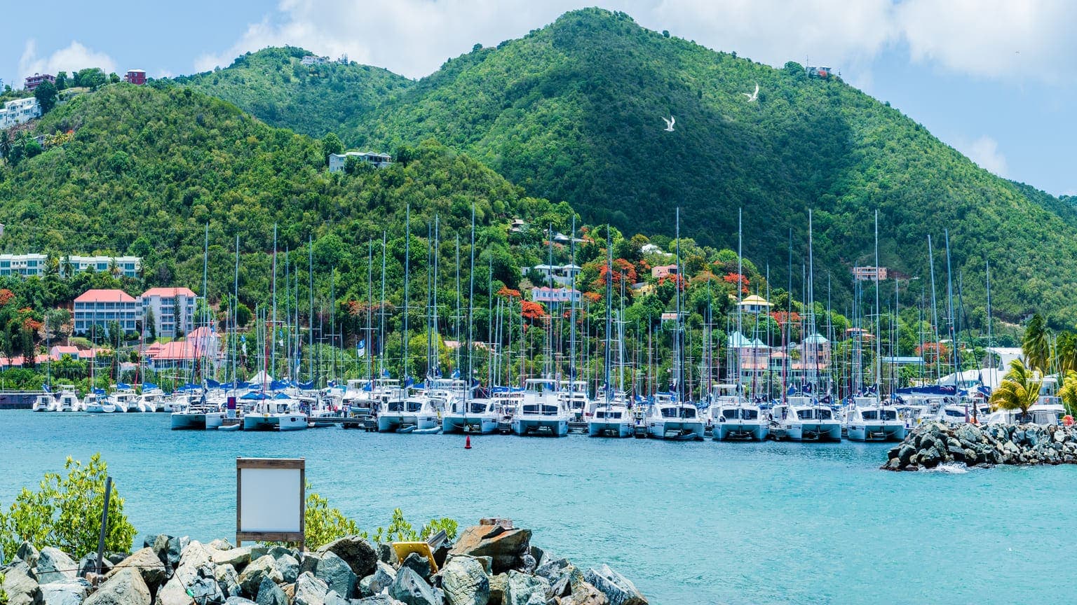 Antigua vs St Kitts passport: choose the strongest Caribbean passport