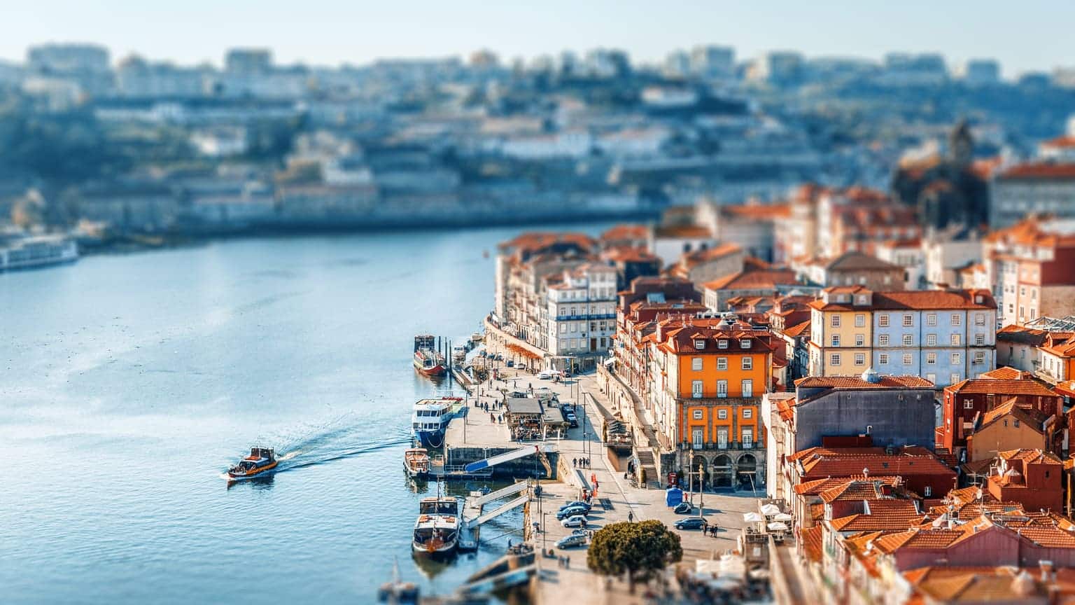 47 000 человек продлили ВНЖ Португалии онлайн за месяц