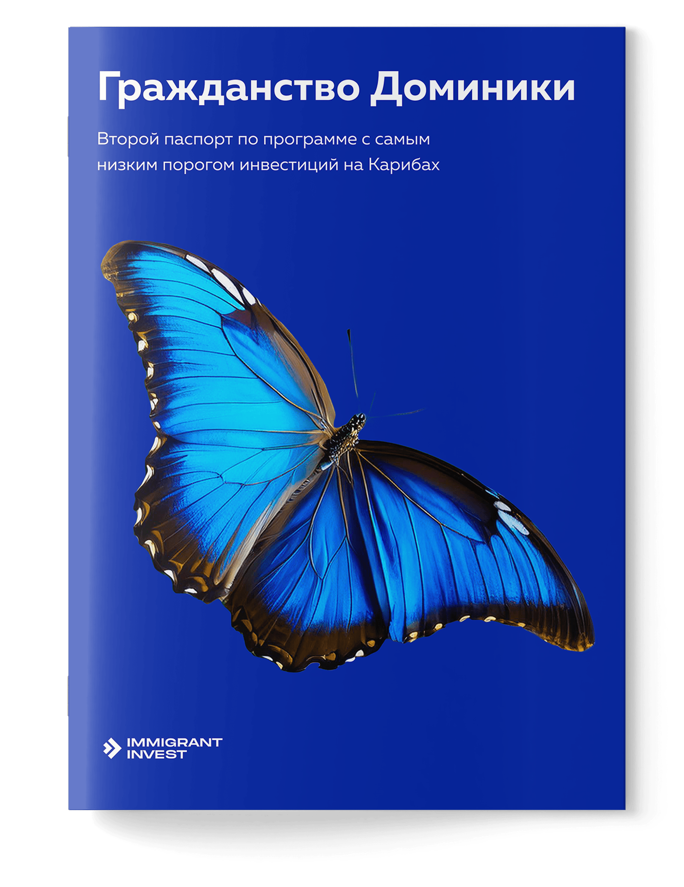 Как получить гражданство Доминики без отказа?
