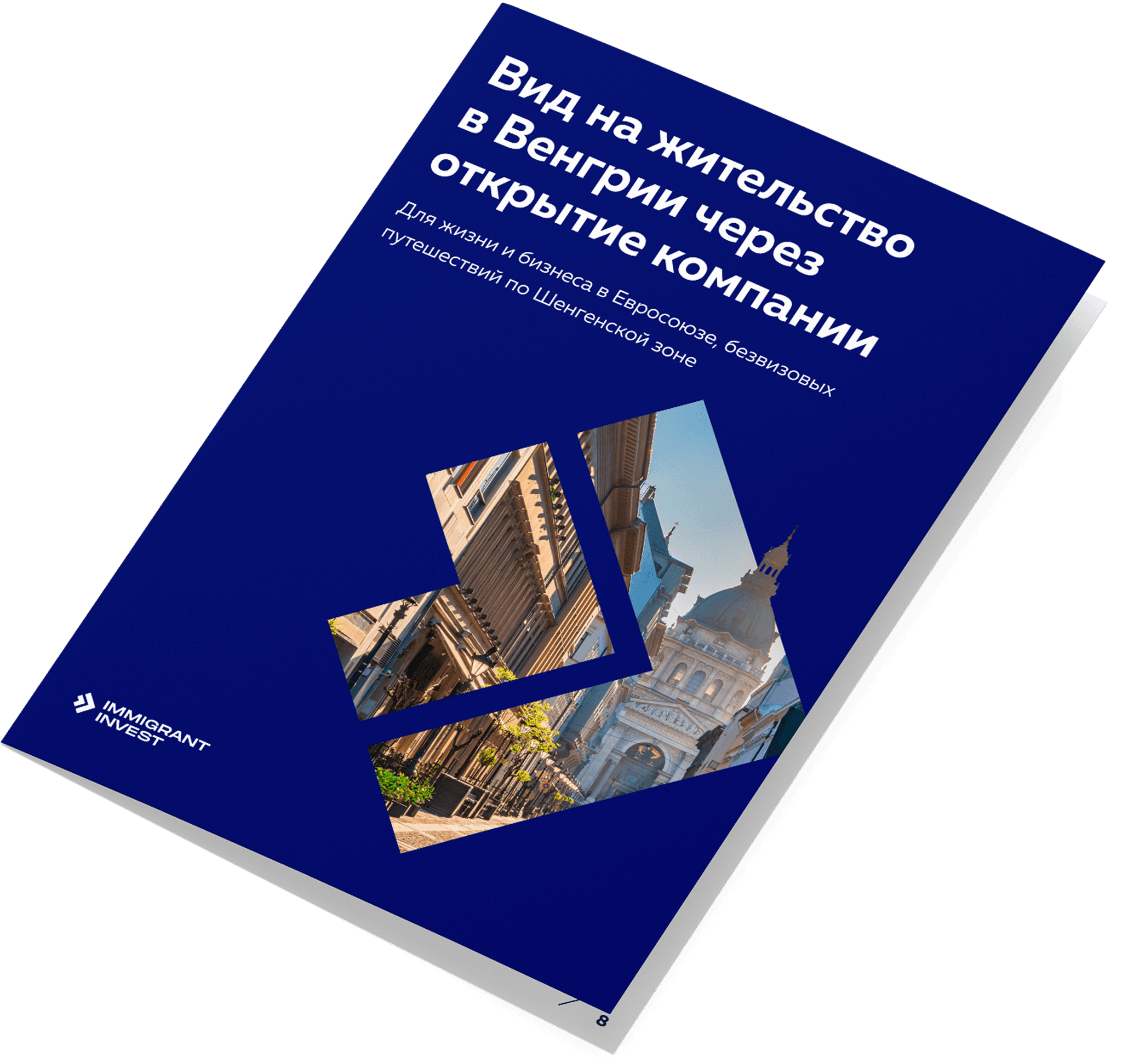 Как получить ВНЖ в Венгрии за открытие компании без отказа?