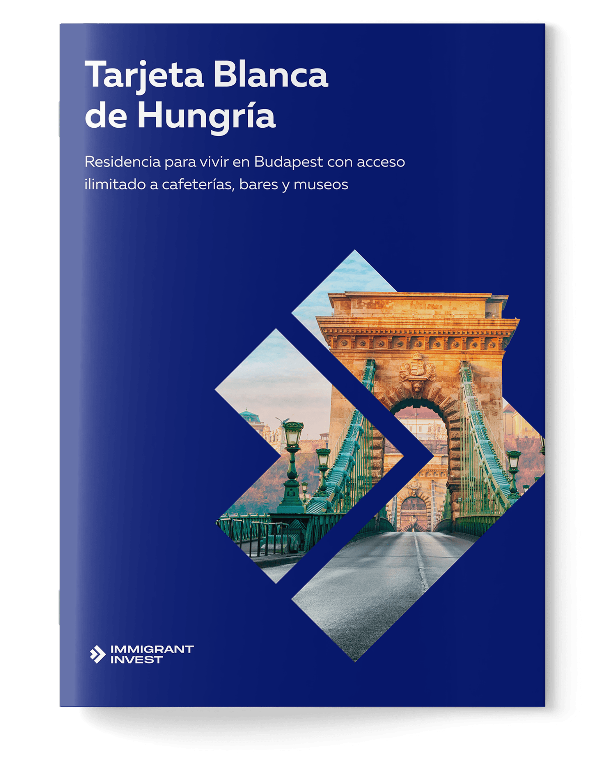 ¿Obtendrás la Visa de Nómada Digital de Hungría?