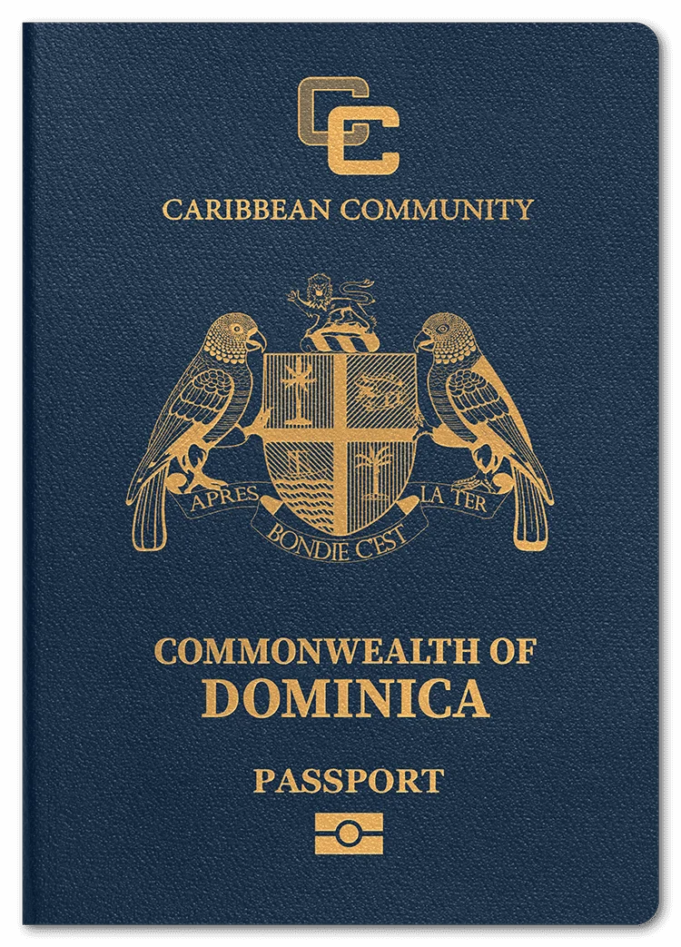 dm-passport