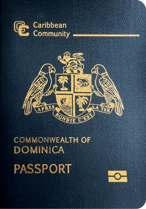 dm-passport